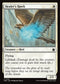 [Foil] FDN 142 Healer's Hawk C