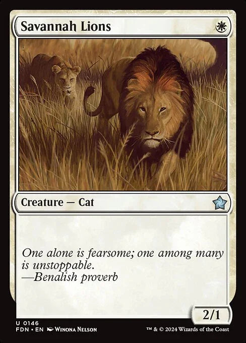 FDN 146 Savannah Lions U