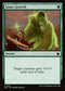 FDN 223 Giant Growth C