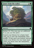 FDN 225 Grow from the Ashes C