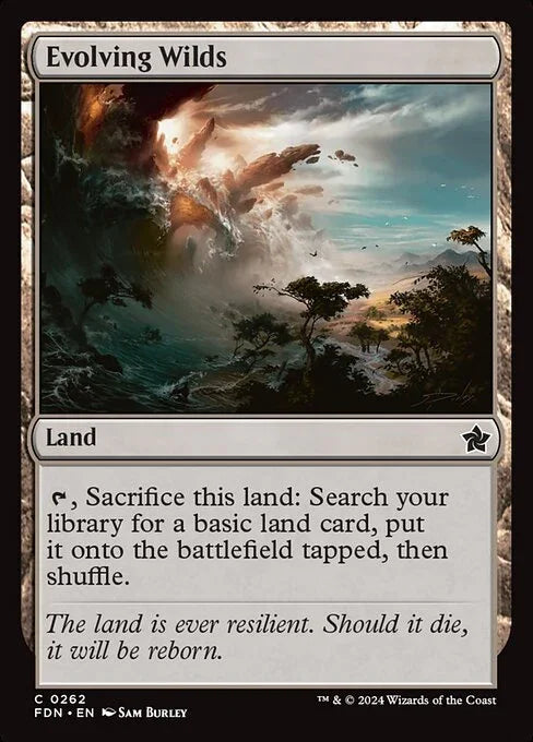 FDN 262 Evolving Wilds
