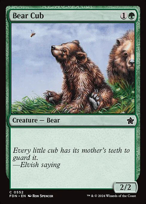 FDN 552 Bear Cub C
