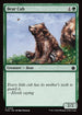 FDN 552 Bear Cub C
