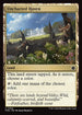 FDN 564 Uncharted Haven C