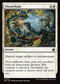 FDN 572 Disenchant C