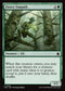 FDN 636 Fierce Empath C