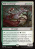 FDN 668 Wilt-Leaf Liege R