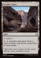 FDN 686 Cryptic Caves