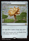 [Foil] FDN 725 Gilded Lotus R