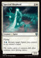 INR 041 Spectral Shepherd U
