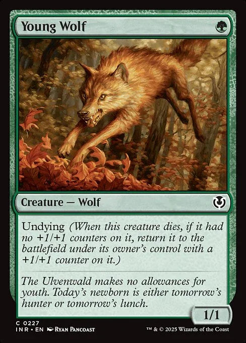 [Foil] INR 227 Young Wolf C