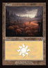[Foil] INR 289 Plains (0289 - Retro Frame) L
