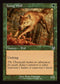 [Foil] INR 425 Young Wolf (0425 - Retro Frame) C