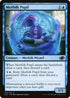 J22 015 Merfolk Pupil C