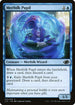 J22 015 Merfolk Pupil C