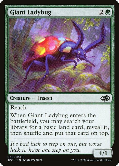 J22 039 Giant Ladybug C