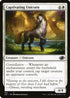J22 163 Captivating Unicorn C