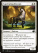 J22 163 Captivating Unicorn C