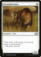 J22 237 Savannah Lions U