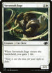 J22 238 Savannah Sage C