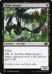 J22 378 Blight Keeper C