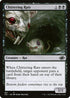 J22 387 Chittering Rats C