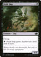 J22 415 Fetid Imp C