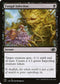 J22 416 Fungal Infection C