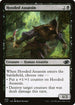 J22 426 Hooded Assassin C
