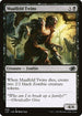 J22 438 Maalfeld Twins C