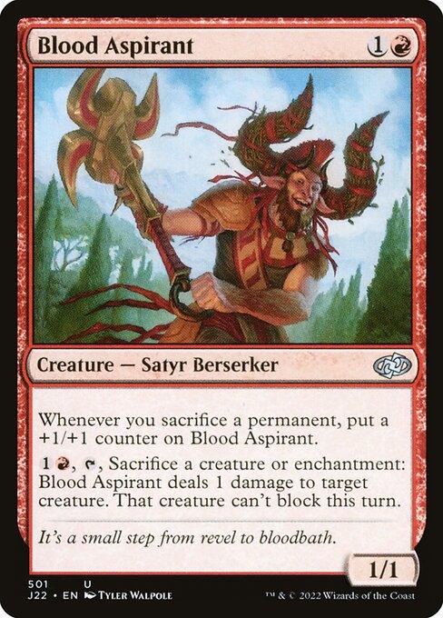 J22 501 Blood Aspirant U