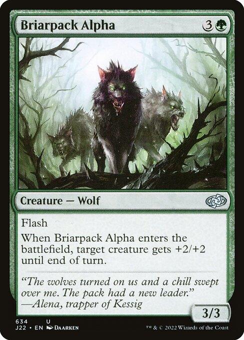 J22 634 Briarpack Alpha U