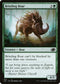 J22 635 Bristling Boar C