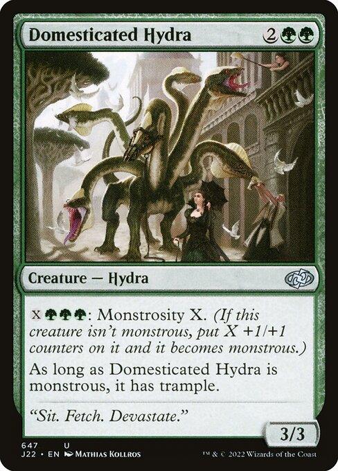 J22 647 Domesticated Hydra U