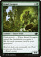 J22 682 Kraul Foragers C