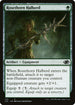 J22 722 Rosethorn Halberd C