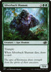 J22 728 Silverback Shaman C
