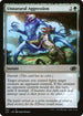 J22 737 Unnatural Aggression C