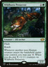 J22 738 Wildborn Preserver R