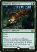 J22 738 Wildborn Preserver R