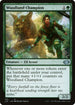J22 745 Woodland Champion U