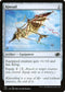 J22 781 Kitesail C