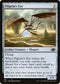 J22 791 Pilgrim's Eye C