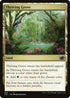 J22 823 Thriving Grove