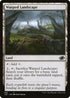 J22 832 Warped Landscape C