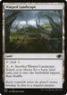 J22 832 Warped Landscape C