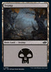 J25 089 Swamp (0089) L