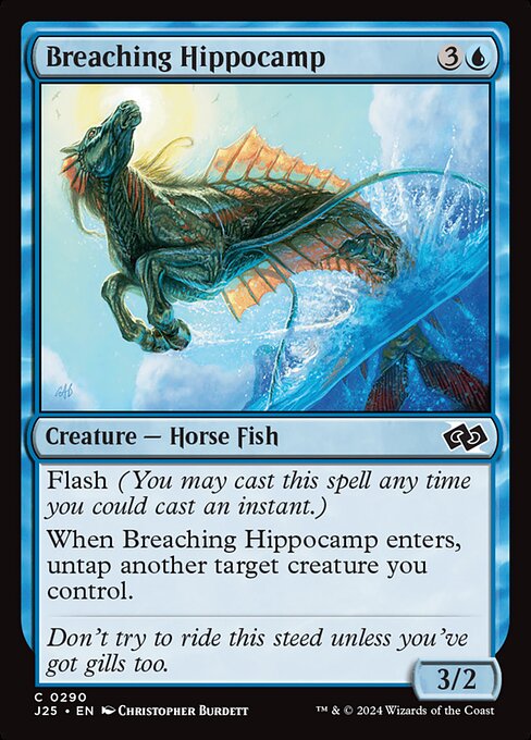 J25 290 Breaching Hippocamp C
