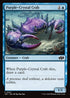 J25 347 Purple-Crystal Crab C