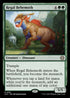 LCC 251 Regal Behemoth R